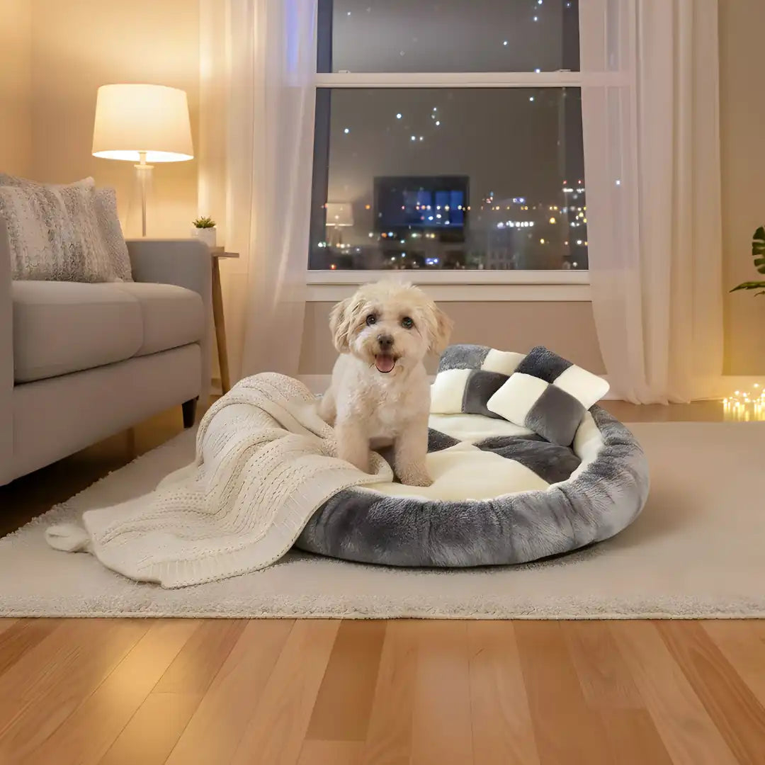 best dog beds india