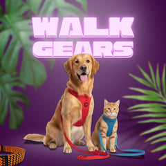 Collection image for: Dog Walk Essentials