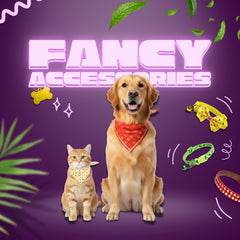 Collection image for: Accessories