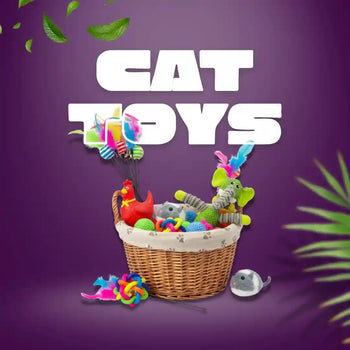 Cat Toys