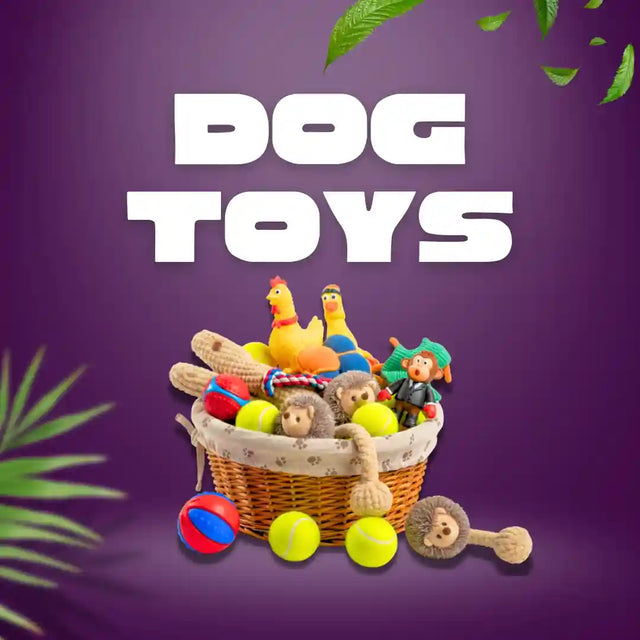 Dog Toys