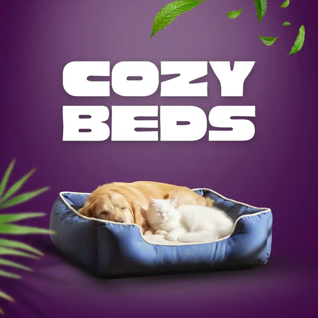 Beds & Mats