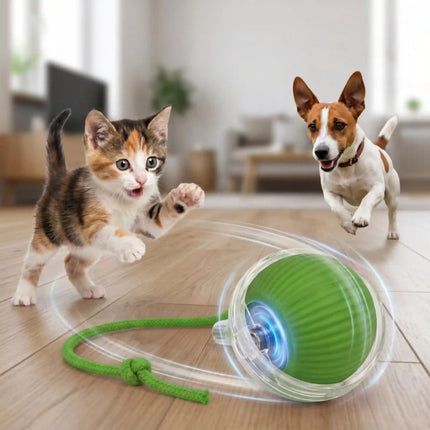 Smart Interactive Running Ball Toy with Tail for Dogs & Cats | USB Rechargeable (3 Modes) - GREEN