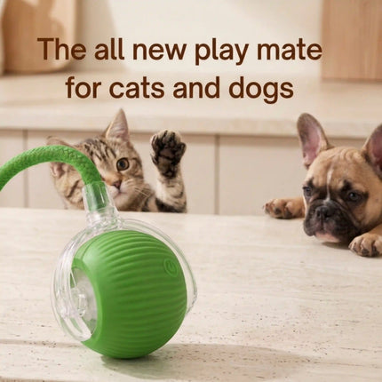 Smart Interactive Running Ball Toy with Tail for Dogs & Cats | USB Rechargeable (3 Modes) - GREEN
