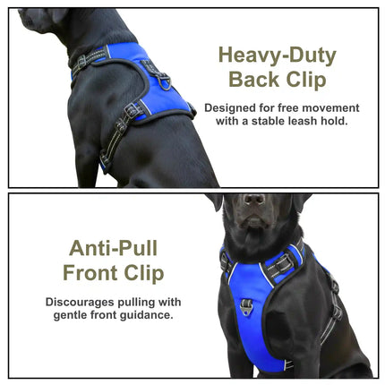 Premium Reflective No-Pull Dog Harness with Soft Breathable Mesh & Easy Adjustable Straps – Blue (Large)
