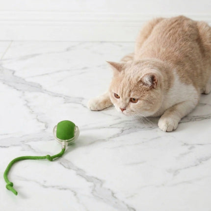 Smart Interactive Running Ball Toy with Tail for Dogs & Cats | USB Rechargeable (3 Modes) - GREEN