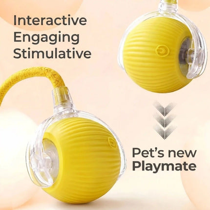 Smart Interactive Running Ball Toy with Tail for Dogs & Cats | USB Rechargeable (3 Modes) - YELLOW