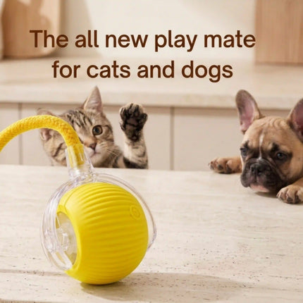 Smart Interactive Running Ball Toy with Tail for Dogs & Cats | USB Rechargeable (3 Modes) - YELLOW
