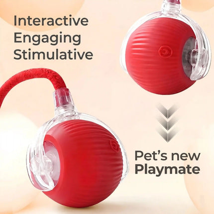 Smart Interactive Running Ball Toy with Tail for Dogs & Cats | USB Rechargeable (3 Modes) - RED