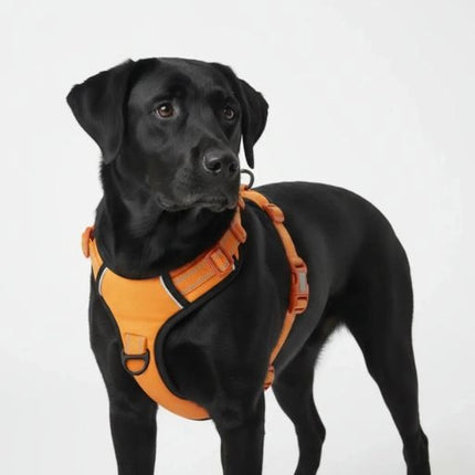 Premium Reflective No-Pull Dog Harness with Soft Breathable Mesh & Easy Adjustable Straps – Orange