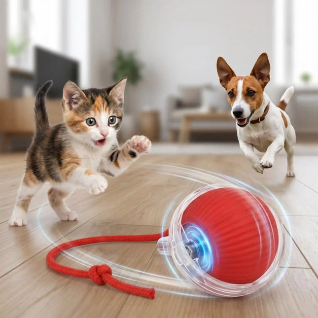 Smart Interactive Running Ball Toy with Tail for Dogs & Cats | USB Rechargeable (3 Modes) - RED