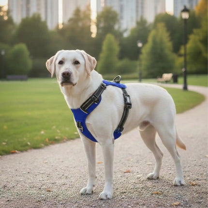 Premium Reflective No-Pull Dog Harness with Soft Breathable Mesh & Easy Adjustable Straps – Blue (Large)