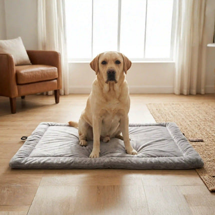 Premium Velvet Mat for Dogs & Cats with Soft Cushion and Anti Skid - Grey