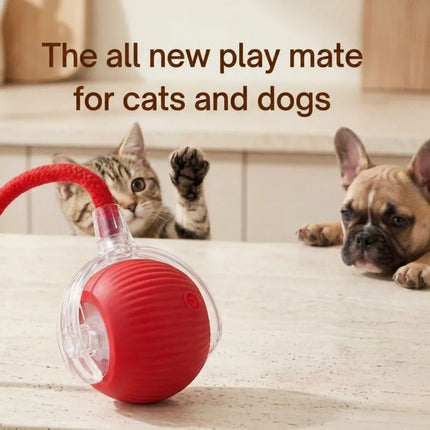 Smart Interactive Running Ball Toy with Tail for Dogs & Cats | USB Rechargeable (3 Modes) - RED