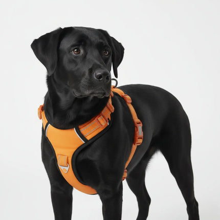 Premium Reflective No-Pull Dog Harness with Soft Breathable Mesh & Easy Adjustable Straps – Orange