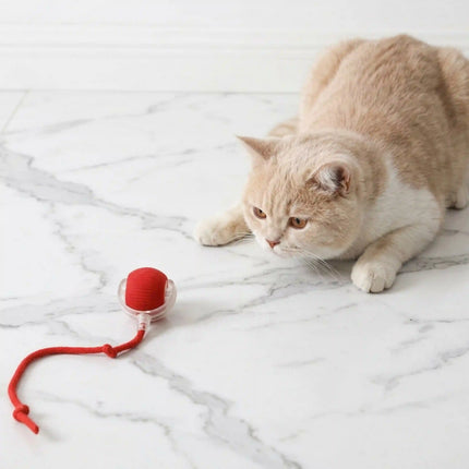 Smart Interactive Running Ball Toy with Tail for Dogs & Cats | USB Rechargeable (3 Modes) - RED
