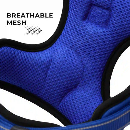 Premium Reflective No-Pull Dog Harness with Soft Breathable Mesh & Easy Adjustable Straps – Blue (Large)