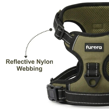 Green dog harness with reflective nylon webbing and 'Furora' branding on a white background