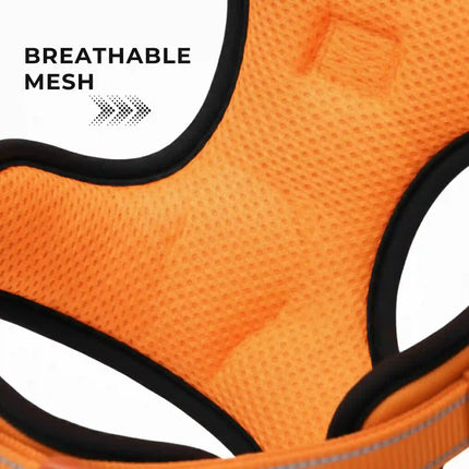 Premium Reflective No-Pull Dog Harness with Soft Breathable Mesh & Easy Adjustable Straps – Orange