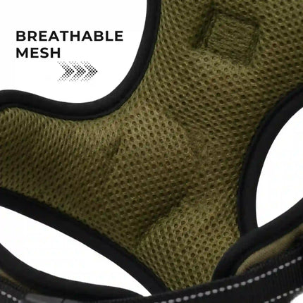 Adjustable no-pull dog harness in olive green with strong buckle design