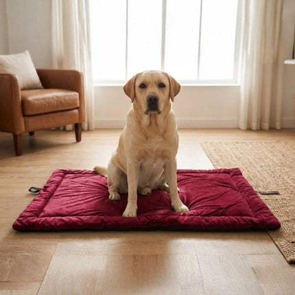 Premium Velvet Mat for Dogs & Cats with Soft Cushion and Anti Skid - Maroon