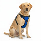 Premium Reflective No-Pull Dog Harness with Soft Breathable Mesh & Easy Adjustable Straps – Blue (Large)