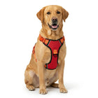 Premium Reflective No-Pull Dog Harness with Soft Breathable Mesh & Easy Adjustable Straps – Red