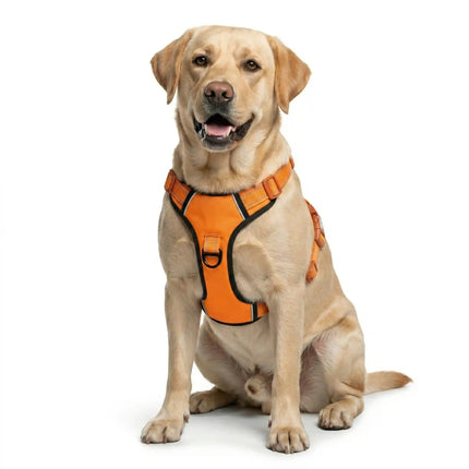 Premium Reflective No-Pull Dog Harness with Soft Breathable Mesh & Easy Adjustable Straps – Orange