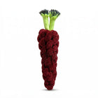 Carrot Shape Rope Dog Toy for Chew & Tug Play - Maroon & Green