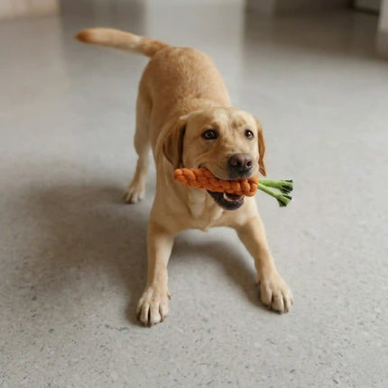 Carrot Shape Rope Dog Toy for Chew & Tug Play - Orange & Green