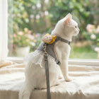 Dress Style Cat Harness with Lace Design & Leash - Black & White (LARGE)