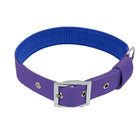 Padded Nylon Dog Collar - Purple