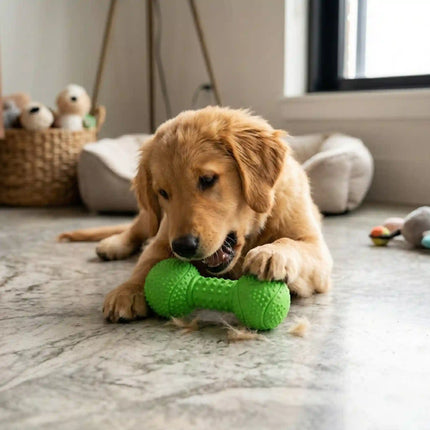 Squeaky Dumbbell Dog Toy with Textured Grip - Tennis Ball Style