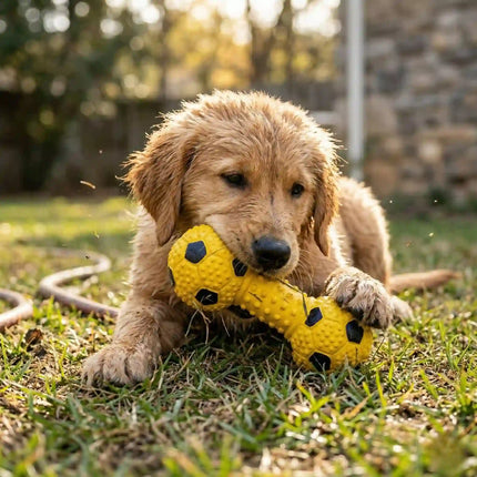 Squeaky Dumbbell Dog Toy with Textured Grip - Football Style