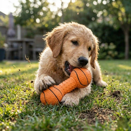 Squeaky Dumbbell Dog Toy with Textured Grip - Basketball Style