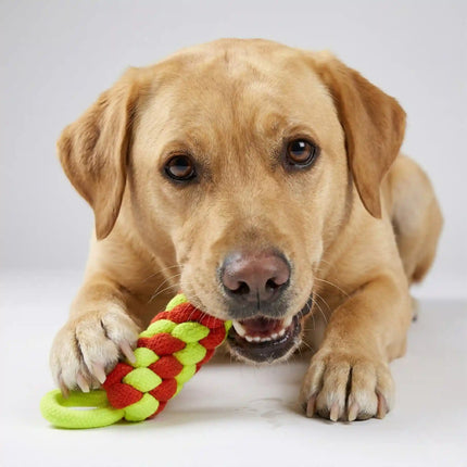 Rope Dummy Dog Toy with Loop Handle for Training, Chew & Tug Play - Red & Green