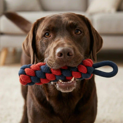 Rope Dummy Dog Toy with Loop Handle for Training, Chew & Tug Play - Red & Navy