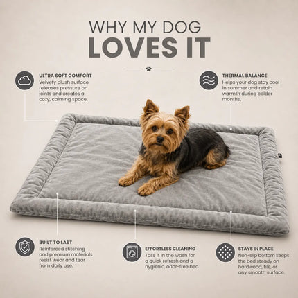 Premium Velvet Mat for Dogs & Cats with Soft Cushion and Anti Skid - Grey