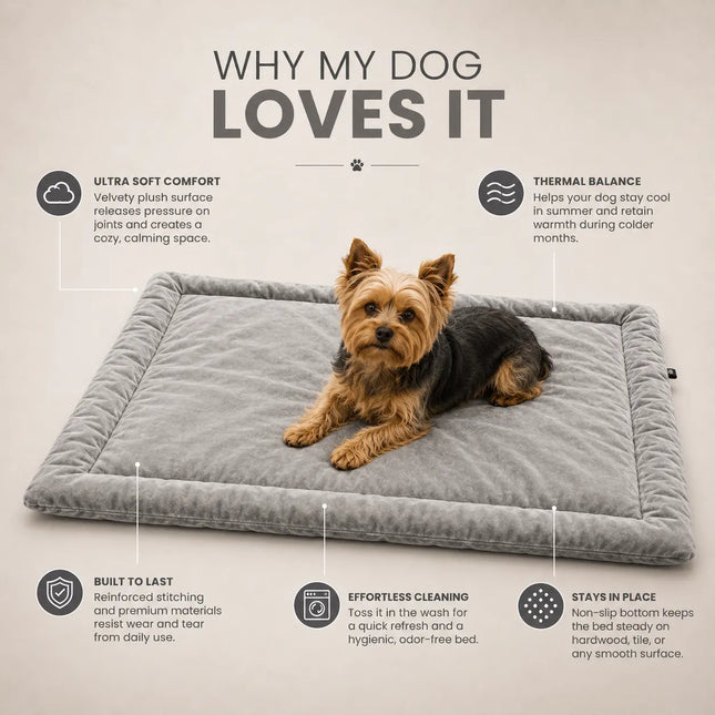 Premium Velvet Mat for Dogs & Cats with Soft Cushion and Anti Skid - Grey