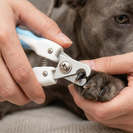 Pet Nail Clipper with Safety Guard & Non-Slip Grip for Dogs & Cats Grooming
