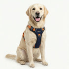 Premium Reflective No-Pull Dog Harness with Soft Mesh + FREE Heavy Duty Leash – Navy Blue