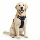 Premium Reflective Anti-Pull Dog Harness with Soft Mesh + FREE Heavy Duty Leash – Navy Blue