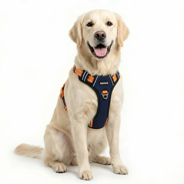 Premium Reflective Anti-Pull Dog Harness with Soft Mesh + FREE Heavy Duty Leash – Navy Blue