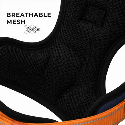Premium Reflective No-Pull Dog Harness with Soft Mesh + FREE Heavy Duty Leash – Navy Blue