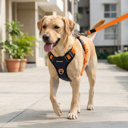 Premium Reflective No-Pull Dog Harness with Soft Mesh + FREE Heavy Duty Leash – Navy Blue