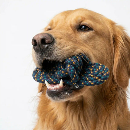 Rope Slipper Dog Toy for Chew, Tug & Dental Play - Dark Blue, Green & Yellow