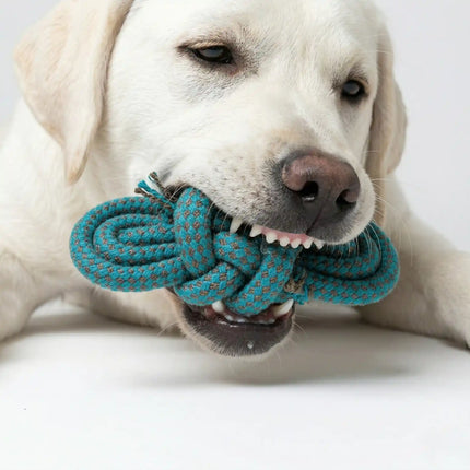 Rope Slipper Dog Toy for Chew, Tug & Dental Play - Teal Blue & Grey