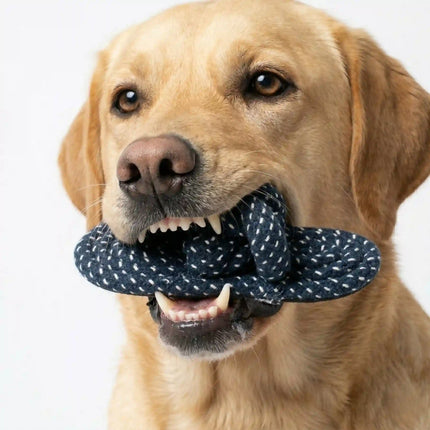 Rope Slipper Dog Toy for Chew, Tug & Dental Play - Dark Blue & White