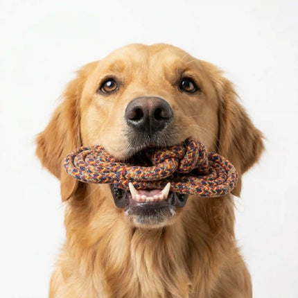 Rope Slipper Dog Toy for Chew, Tug & Dental Play - Multicolor (Red, Yellow & Blue)