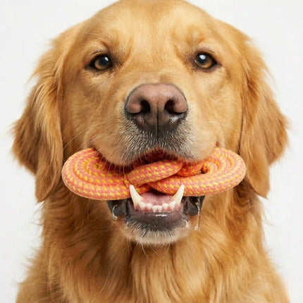 Rope Slipper Dog Toy for Chew, Tug & Dental Play - Orange & Yellow
